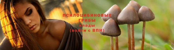 2c-b Новодвинск