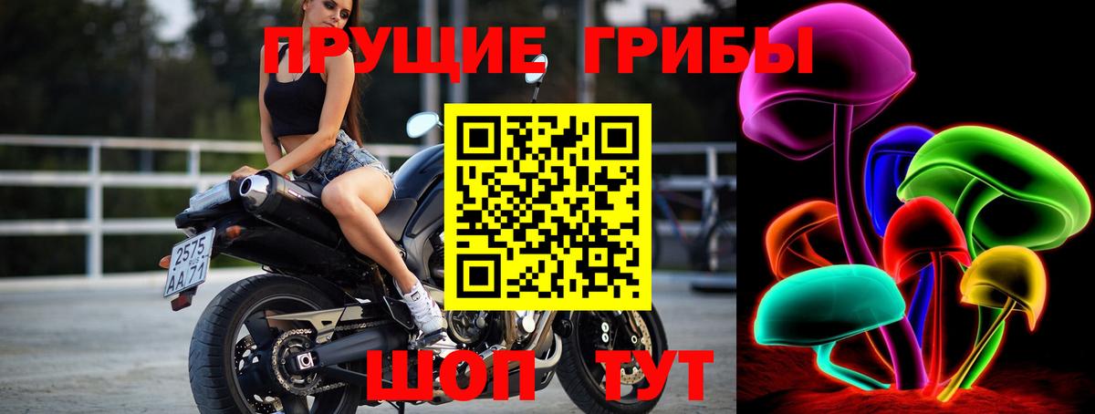 Находка  Галлюциногенные грибы Psilocybe  Псилоцибиновые грибы ЛСД  Вход с VPN 